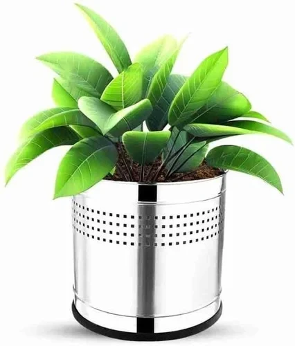 Stainless Steel Garden Planter – SS 202 Indoor & Outdoor Planter